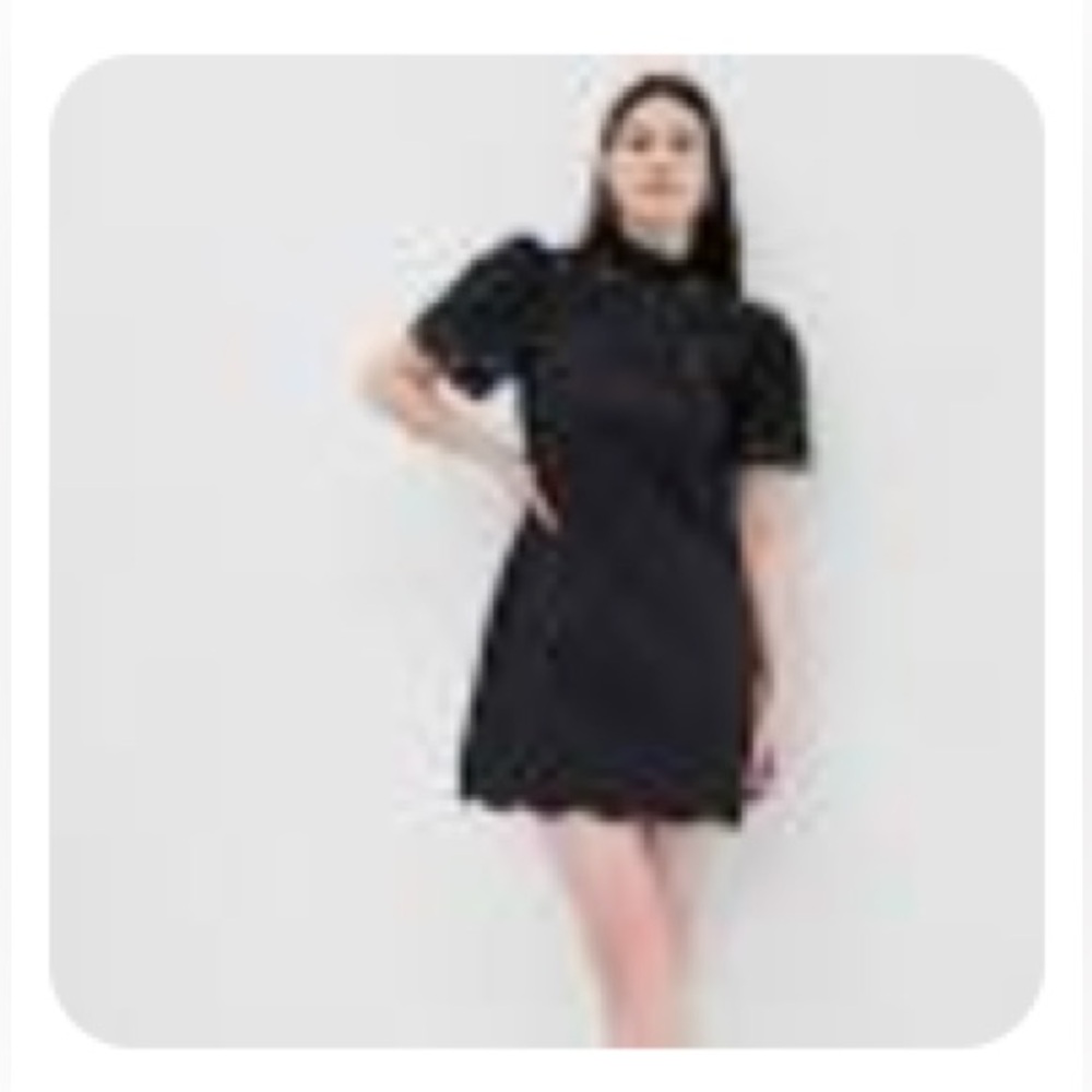 NWT Gap Eyelet Lace Mock Neck Short Puffy Sleeve Cotton Mini Dress Black L